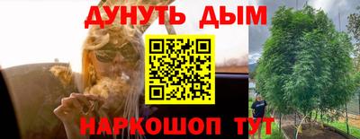 шишки Пыть-Ях